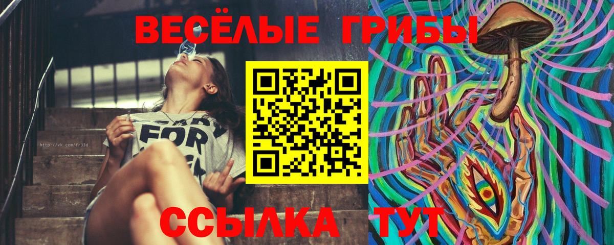 Галлюциногенные грибы Psilocybe  Вход с VPN  Казань 